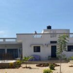 WhatsApp Image 2025-11-03 at 21.53.53